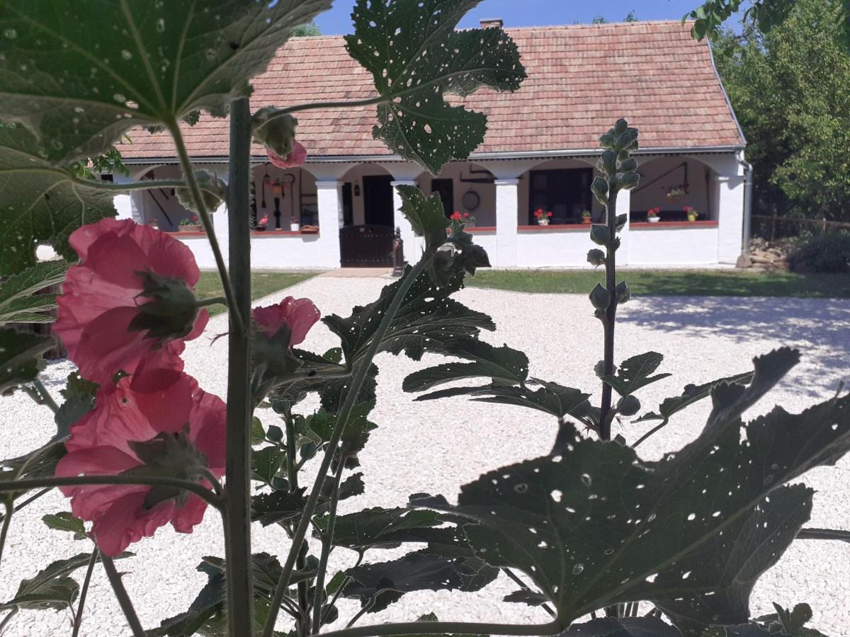 Letunt Idok Vendeghaz Villa Kemenesmihalyfa Buitenkant foto