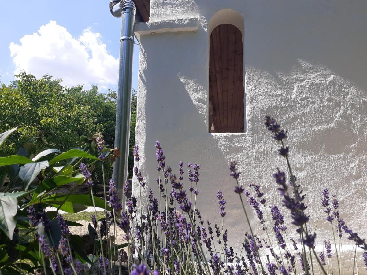 Letunt Idok Vendeghaz Villa Kemenesmihalyfa Buitenkant foto
