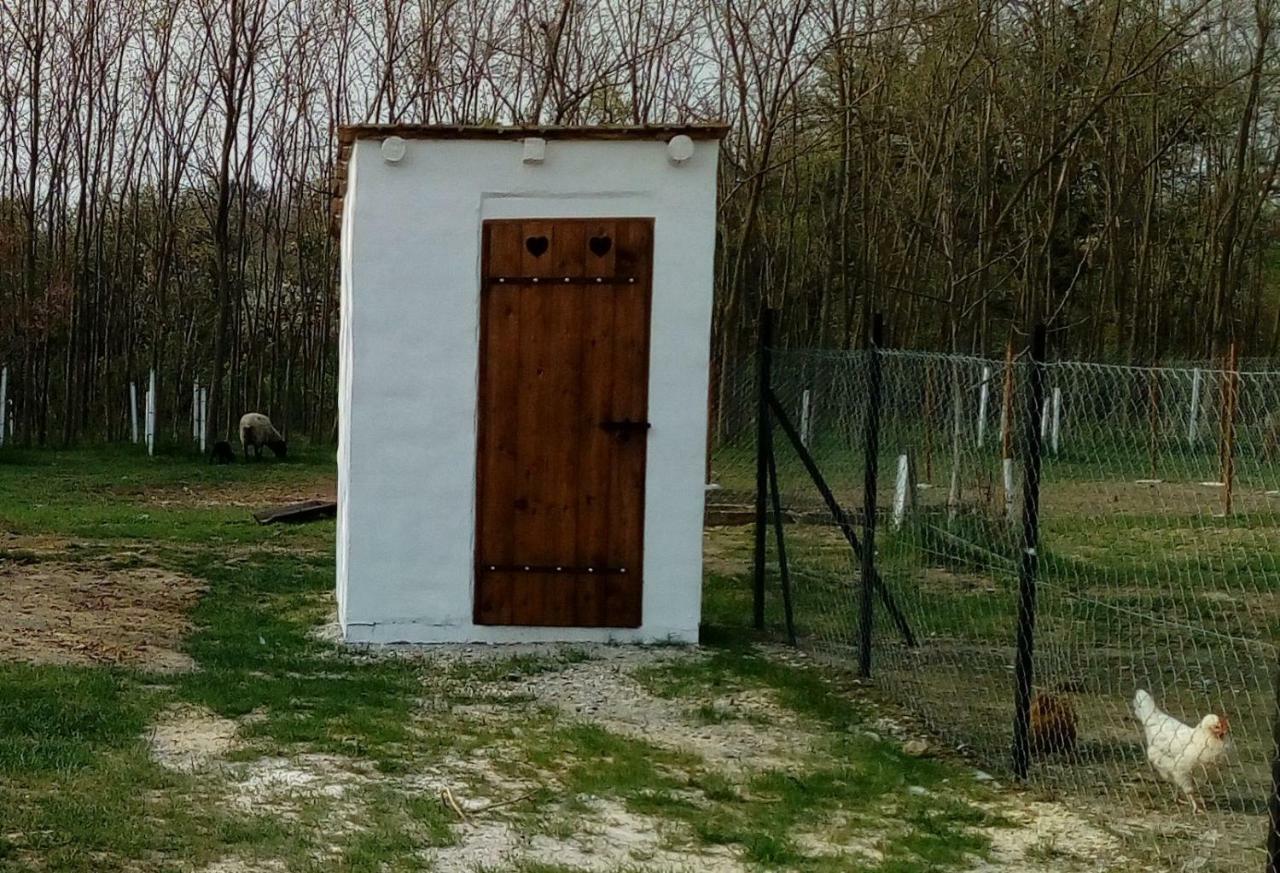 Letunt Idok Vendeghaz Villa Kemenesmihalyfa Buitenkant foto